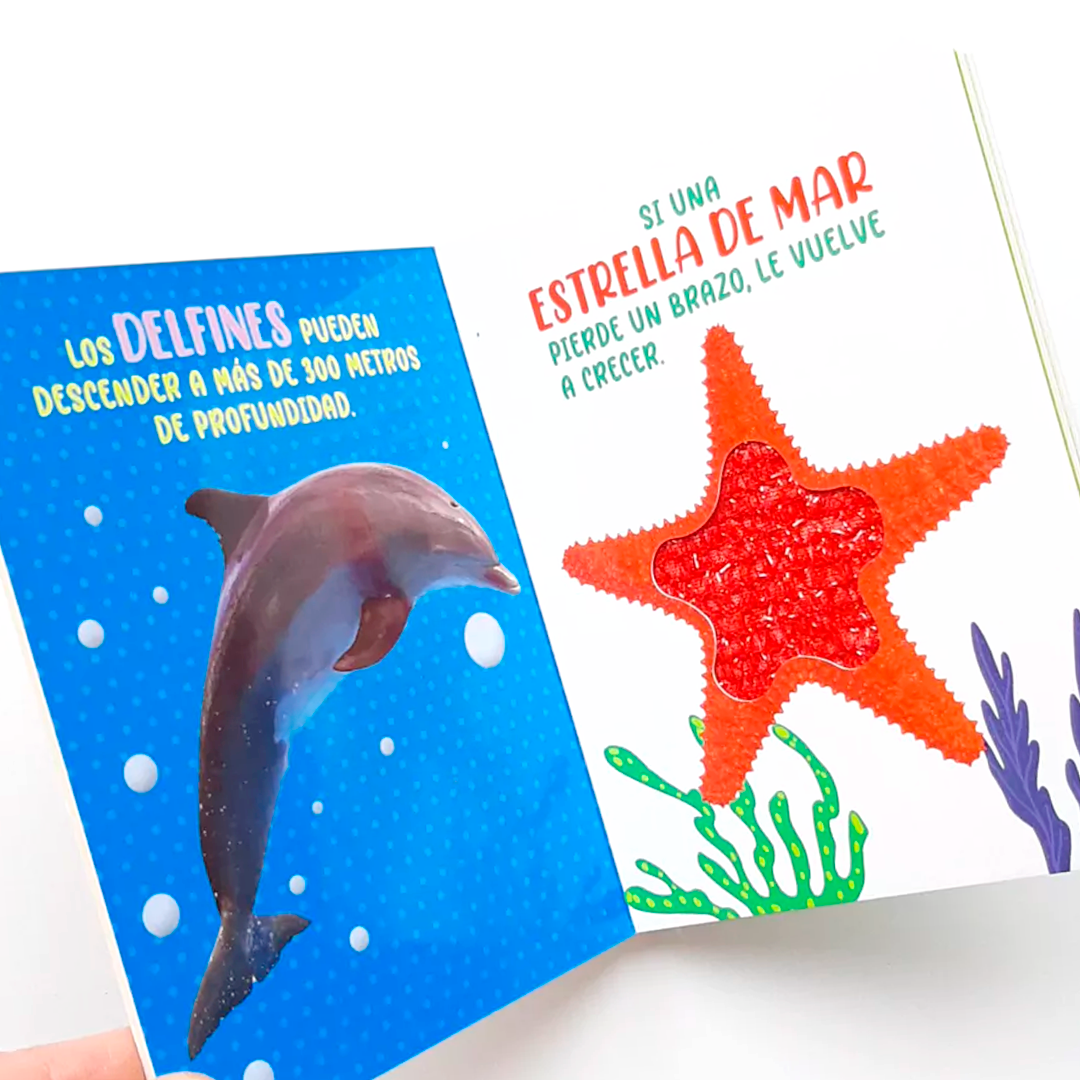 Libro Mis Sentidos Maravillosos - Animales del Mar