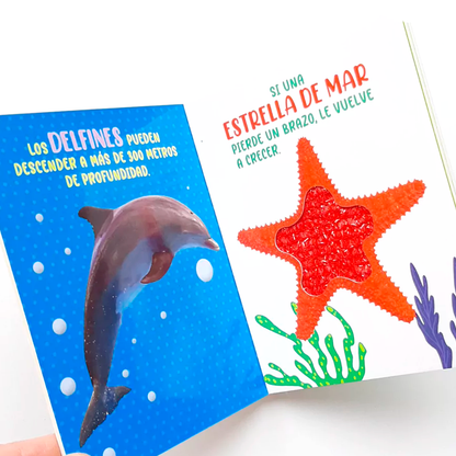 Libro Mis Sentidos Maravillosos - Animales del Mar